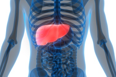 Men gan tăng cao là gì, dấu hiệu nhận biết