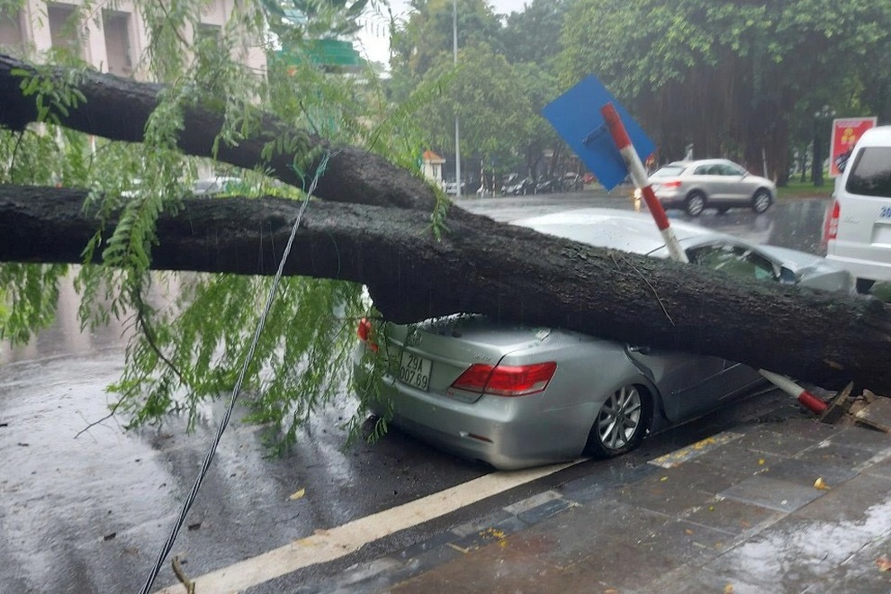 Cây me cổ thụ bật gốc đè bẹp xe Camry trong cơn mưa lớn ở Hà Nội - 3 Cây me cổ thụ bật gốc đè bẹp xe Camry trong cơn mưa lớn ở Hà Nội - 3