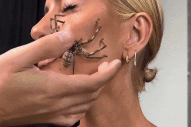 Nữ ca sĩ cho nhện bò lên mặt để quay MV ca nhạc