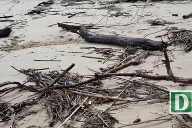 Bãi biển Nha Trang ngập rác dài hàng km sau mưa lớn