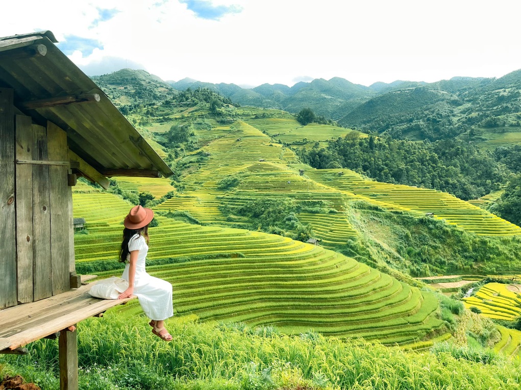 Du khách đổ về mùa vàng Mù Cang Chải, đơn vị lữ hành ào ào chốt tour - 2 Du khách đổ về mùa vàng Mù Cang Chải, đơn vị lữ hành ào ào chốt tour - 2