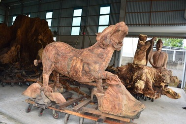 Kỳ lạ gốc bàng đá trên 400 tuổi, người mua trả 35 tỷ đồng chưa bán ở Sóc Trăng