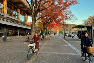 Khách Việt quan tâm tour du lịch-y tế tại Nhật Bản giá hàng trăm triệu đồng