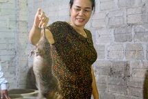 Thu nhập bất ngờ từ mô hình nuôi con “thích bóng tối”