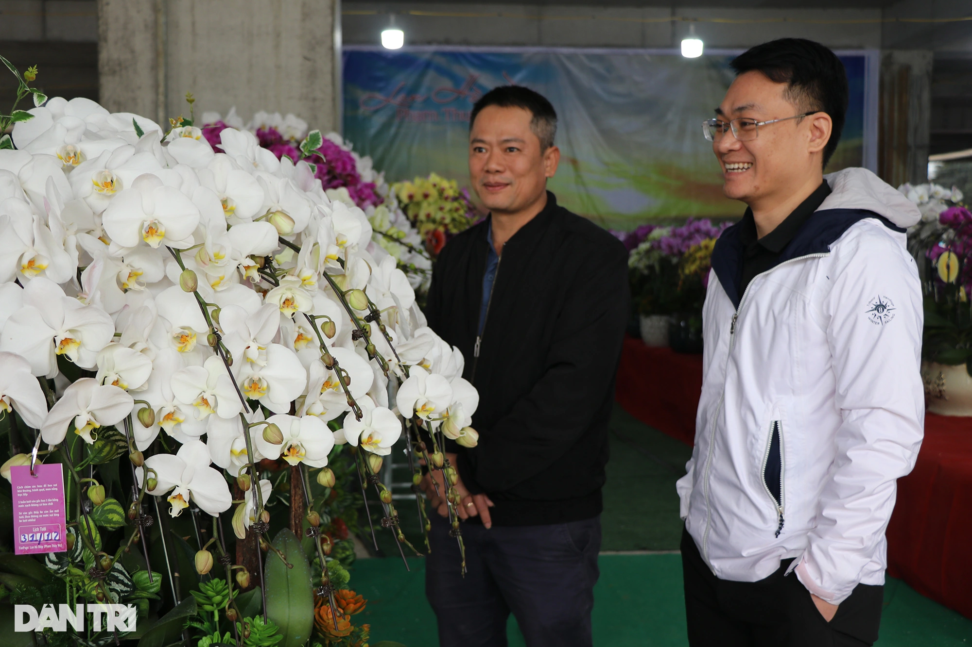 Đếm cành thu tiền, thợ cắm hoa lan kiếm 5-7 triệu đồng mỗi ngày - 1