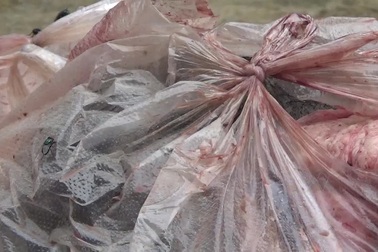 Thịt hôi thối trên xe khách