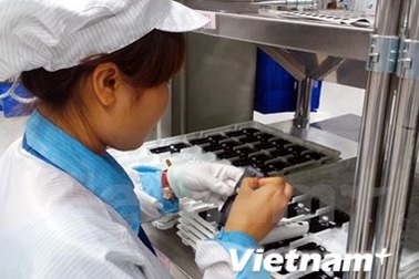 Ngành phần mềm Việt: Sụt giảm trong nước, tăng trưởng nước ngoài