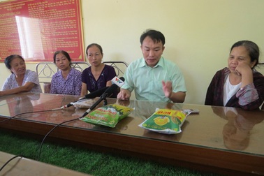 Phát hiện nhiều vụ làm giả lúa giống BC15