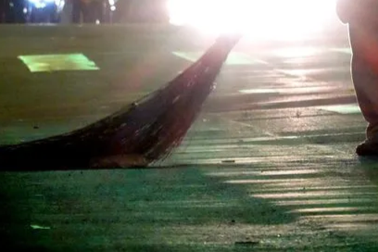 Chị lao công trường mầm non và niềm vui nghe tiếng “chào cô”