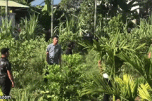 Vụ gia đình 4 người bị truy sát: Vây bắt kẻ thủ ác trong khu vườn rậm rạp