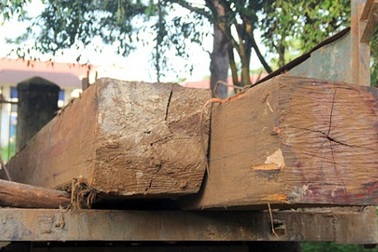 Bắt lượng gỗ lớn khai thác trái phép