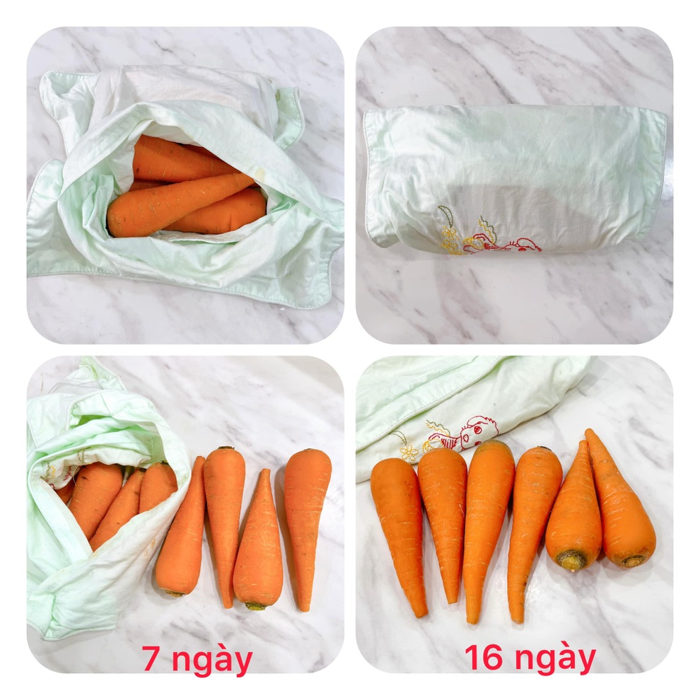 Bí quyết bảo quản rau củ tươi cả tháng nhờ vải cũ - 2 Bí quyết bảo quản rau củ tươi cả tháng nhờ vải cũ - 2