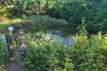 Hai anh em ruột đuối nước trong rẫy của gia đình