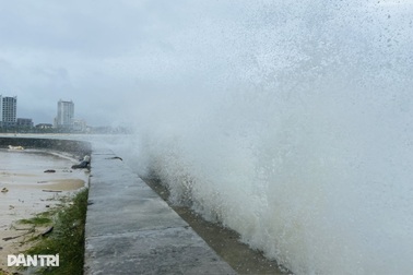 Các địa phương hoãn họp, kêu gọi tàu thuyền tìm nơi tránh siêu bão Ragasa