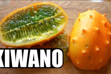 Cận cảnh loại dưa chuột rất đặc biệt