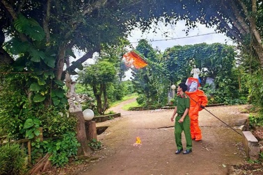 Cảnh sát phá bỏ tổ ong vò vẽ đốt 3 trẻ nhỏ thương vong