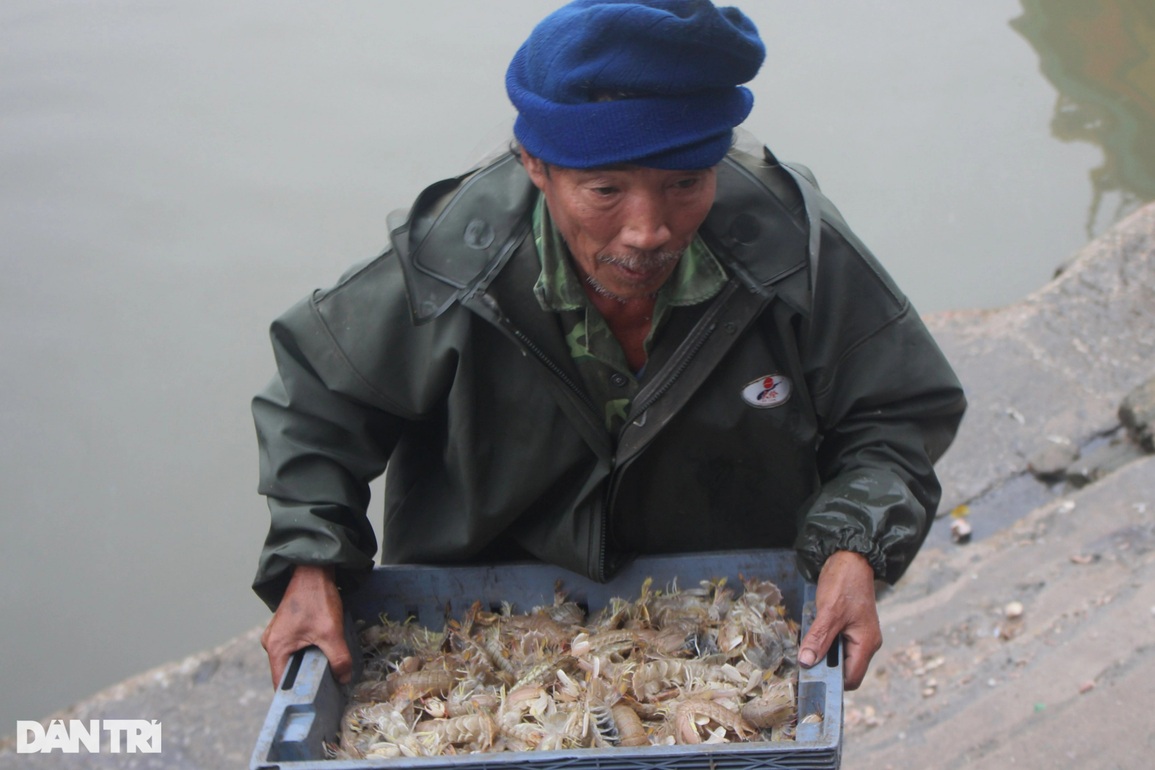 Ngày đầu năm nhộn nhịp tại cảng cá lớn nhất Nghệ An - 6