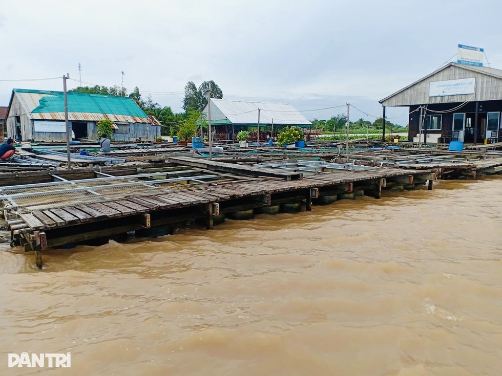 Tỷ phú Anh thăm tỷ phú Việt: Cuộc gặp bất ngờ với ông chủ CLB Tottenham - 6 Tỷ phú Anh thăm tỷ phú Việt: Cuộc gặp bất ngờ với ông chủ CLB Tottenham - 6