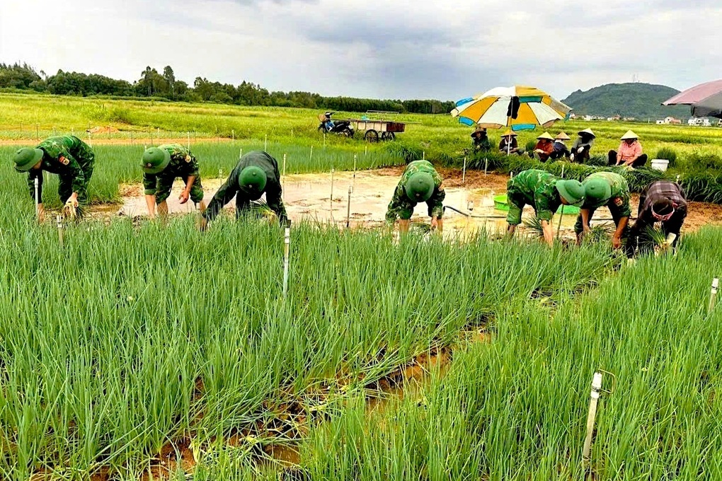 Nước ngập sâu, nông dân nhổ rau non bán rẻ - 2