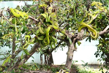 4 điểm du lịch ở Việt Nam khiến khách vừa đi vừa rùng mình sợ hãi