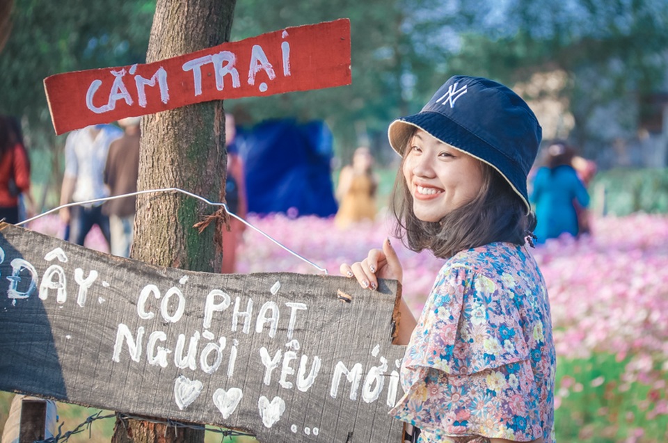 Trồng sao nhái thay dưa, chàng trai thu nhập hàng triệu đồng mỗi ngày - 5 Trồng sao nhái thay dưa, chàng trai thu nhập hàng triệu đồng mỗi ngày - 5