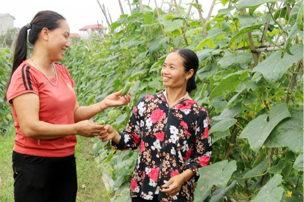 Tỉnh miền núi nỗ lực vì bình đẳng giới đối với dân tộc thiểu số - 1 Tỉnh miền núi nỗ lực vì bình đẳng giới đối với dân tộc thiểu số - 1