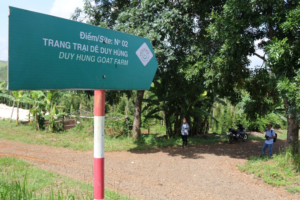 Nuôi dê cho ăn lá thừa, vợ chồng nghỉ hưu kiếm nửa tỷ đồng mỗi năm - 1 Nuôi dê cho ăn lá thừa, vợ chồng nghỉ hưu kiếm nửa tỷ đồng mỗi năm - 1