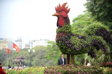 Hà Nội: Ngắm 12 con giáp khủng bằng hoa lập thể