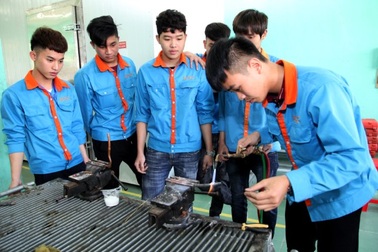 Chọn nghề trên thiết bị di động: Kết quả tuyển sinh tăng 12%