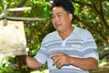 Người đàn ông đổi vận sau khi phát hiện tổ ong lạ trong nhà