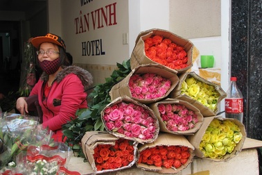 Hoa hồng Đà Lạt tăng giá đột biến dịp Valentine