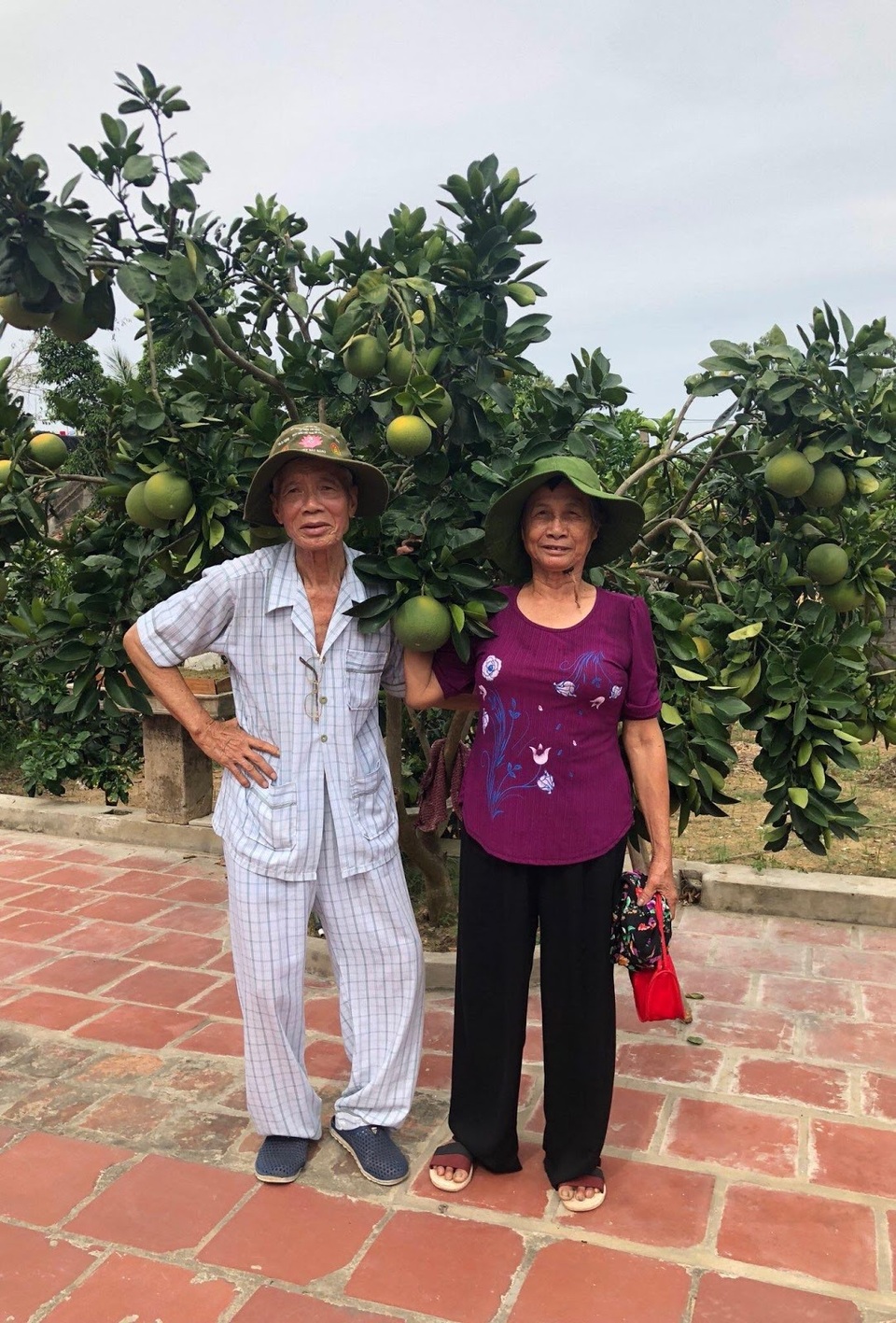 Phát hiện loại thực phẩm quý hỗ trợ điều trị nhiều bệnh nguy hiểm - 2