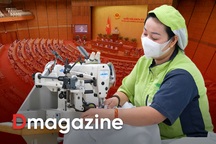 3 chữ an trong những quyết sách "cân não" từ nghị trường