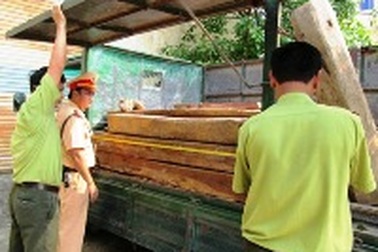 Giấu 25 hộp gỗ Cẩm Lai quý hiếm dưới cây cảnh