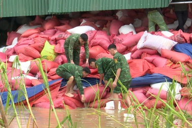 Kho trữ 500 tấn lúa bị tốc mái do bão Kajiki, hộ dân thiệt hại hàng tỷ đồng