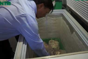 Sau vụ phát hiện thịt, cá bẩn: Thanh tra hàng loạt bếp ăn trong trường học