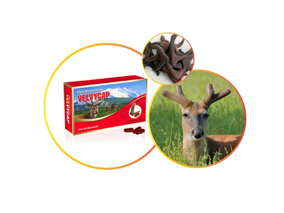 Tăng cường hệ miễn dịch - tăng cường sức khỏe toàn thân - 2 Tăng cường hệ miễn dịch - tăng cường sức khỏe toàn thân - 2
