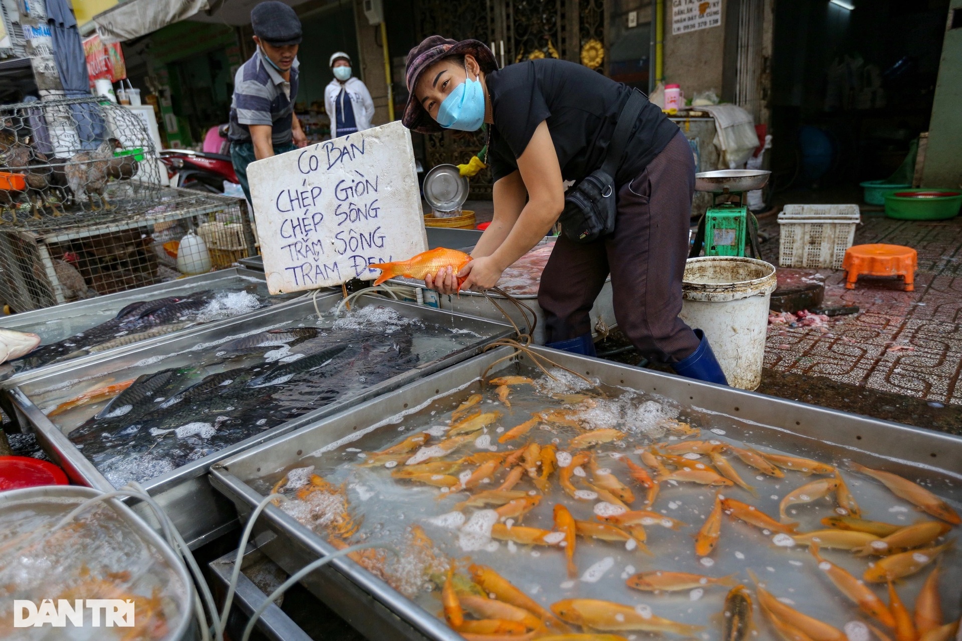 Người dân thuê thuyền ra giữa sông Sài Gòn thả cá tiễn ông Táo - 2
