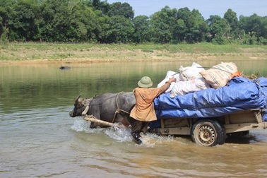 Về nơi sống nhờ vào tàu chợ, trâu kéo