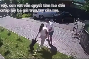 Khoảnh khắc khỉ bất ngờ lao vào nhà, "bắt cóc" bé gái 2 tuổi