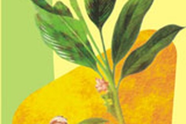 Giải pháp mới cho niêm mạc dạ dày, tá tràng viêm loét