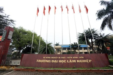 Đại học Lâm nghiệp tiếp tục cho sinh viên học trực tuyến trong học kỳ II