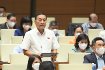 Không nên ưu đãi cho sân golf, khu đô thị ở khu kinh tế Vân Phong