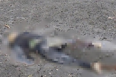 Thi thể mặc 3 lớp áo dạt vào bờ biển