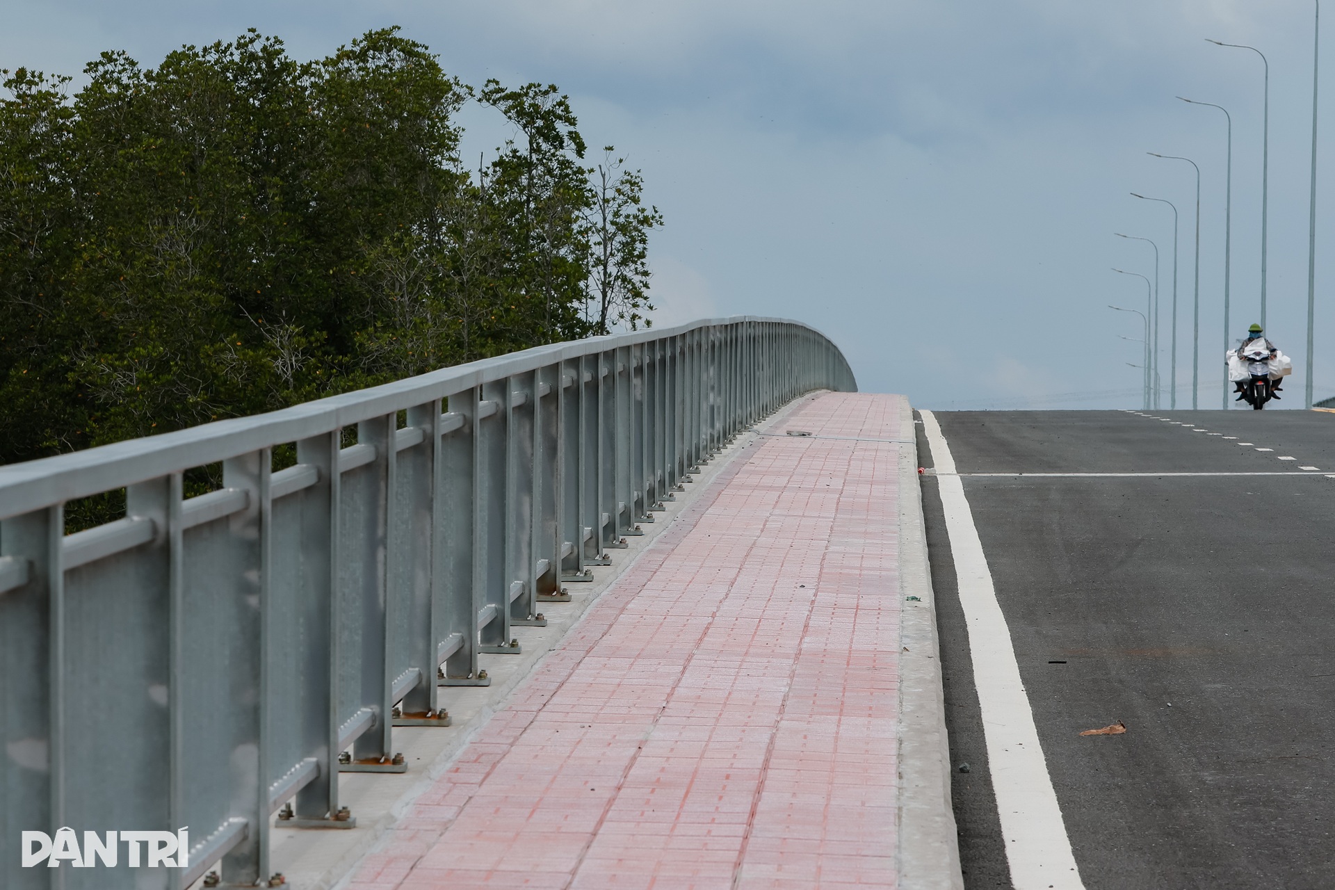 Đường gần 1.000 tỷ đồng băng rừng ngập mặn dẫn vào cảng lớn nhất Đồng Nai - 6