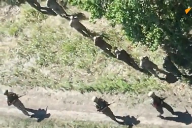 Nga công bố video đơn vị quân đội Ukraine đầu hàng ở Kursk