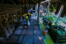 Độc nhất nhà cổ 300 tuổi làm từ gỗ lim, nằm giữa khu vườn xanh mát mắt ở Hà Nội