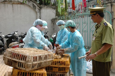 Việt Nam đối phó với chủng cúm mới nguy hiểm