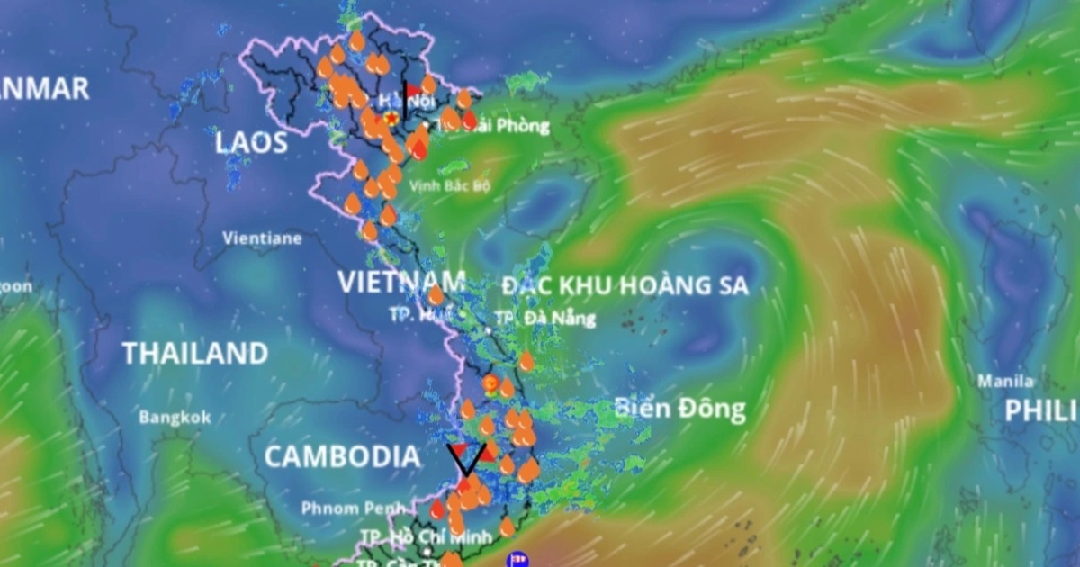 dantri.com.vn