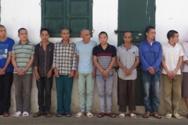 Trộm trâu rồi giết mổ tại chỗ để bán